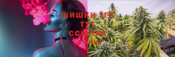 дмт Пересвет