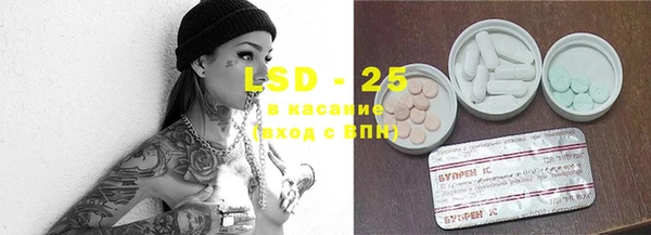 дмт Пересвет