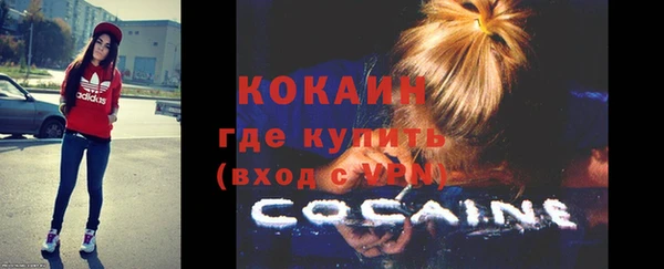 дмт Пересвет