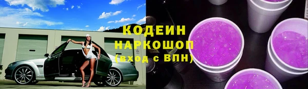 дмт Пересвет