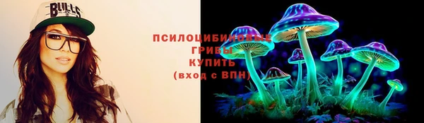 дмт Пересвет