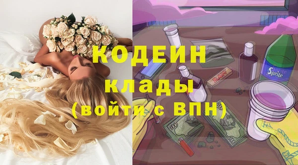дмт Пересвет