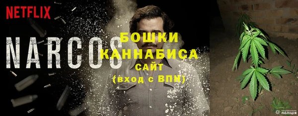 дмт Пересвет
